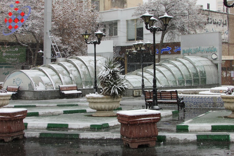 Tofigh Vahidi Azar - Snow - Tabriz- قویروق آتان بولبول - توفیق وحیدی آذر-White Wagtail-